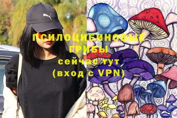 спайс Вязники