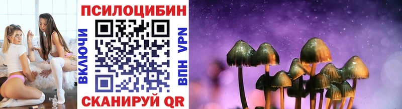 Псилоцибиновые грибы прущие грибы  Купить  Кондрово 