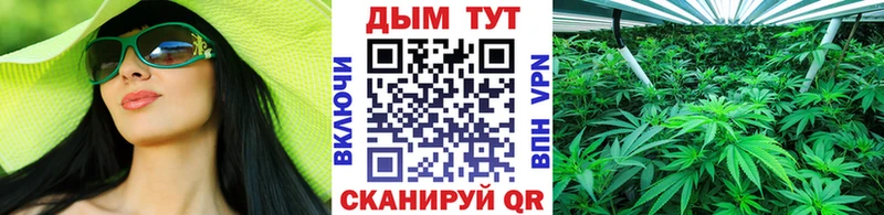 Каннабис MAZAR  Купить закладки  Кондрово 